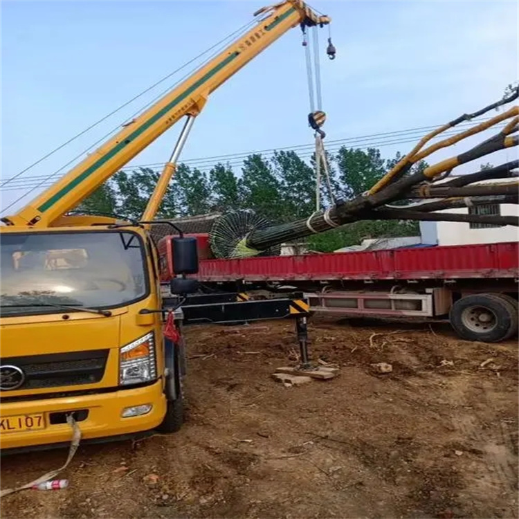 周矶管理区100吨吊车租赁费用怎么算？3大关键因素+省钱技巧全解析